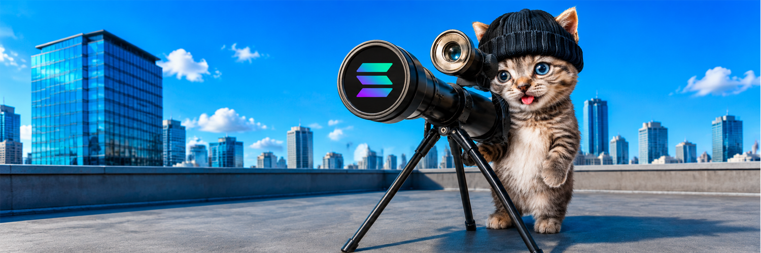 The Snipy Cat banner